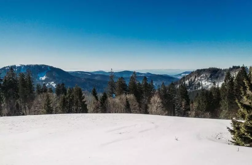 ペンション Berggasthof Zur Todtnauer Hütte