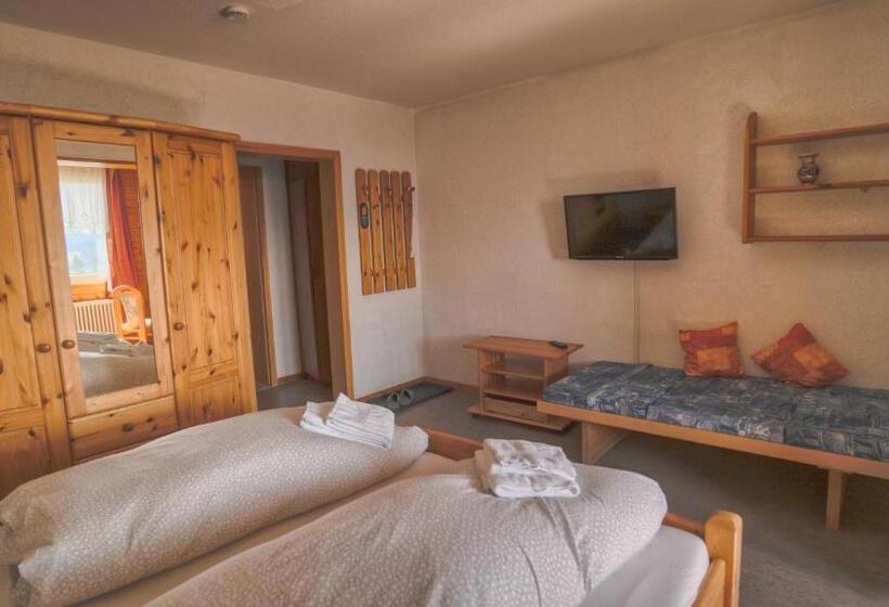 Pensão Berggasthof Zur Todtnauer Hütte