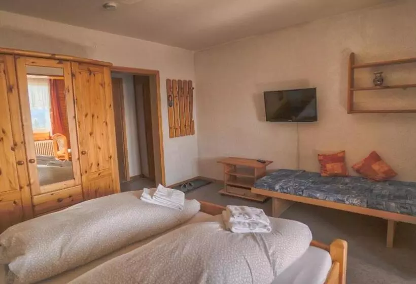 ペンション Berggasthof Zur Todtnauer Hütte