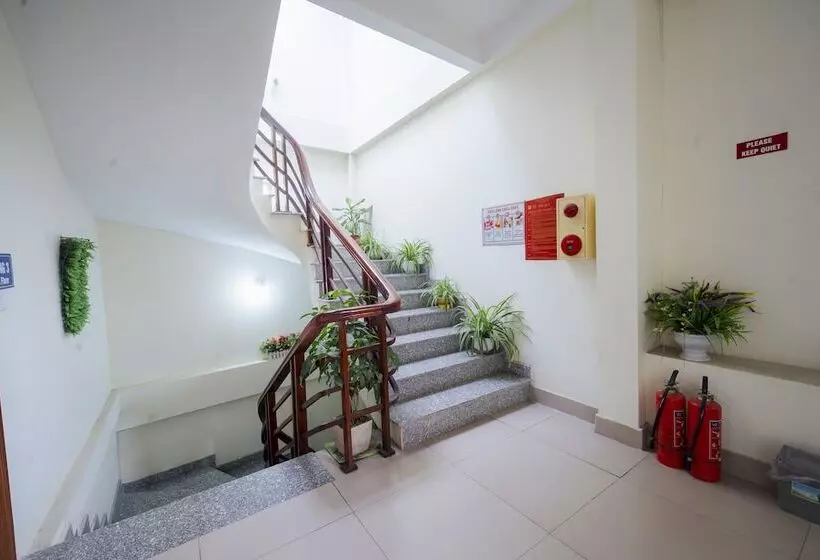 ベッドアンドブレックファースト Family Transit 2