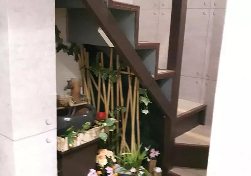 تختخواب و صبحانه Maple House