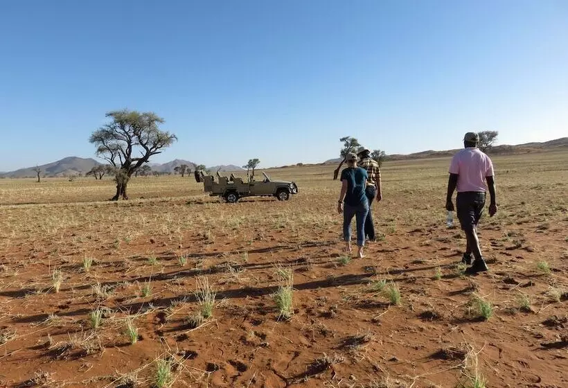 هتل The Desert Grace