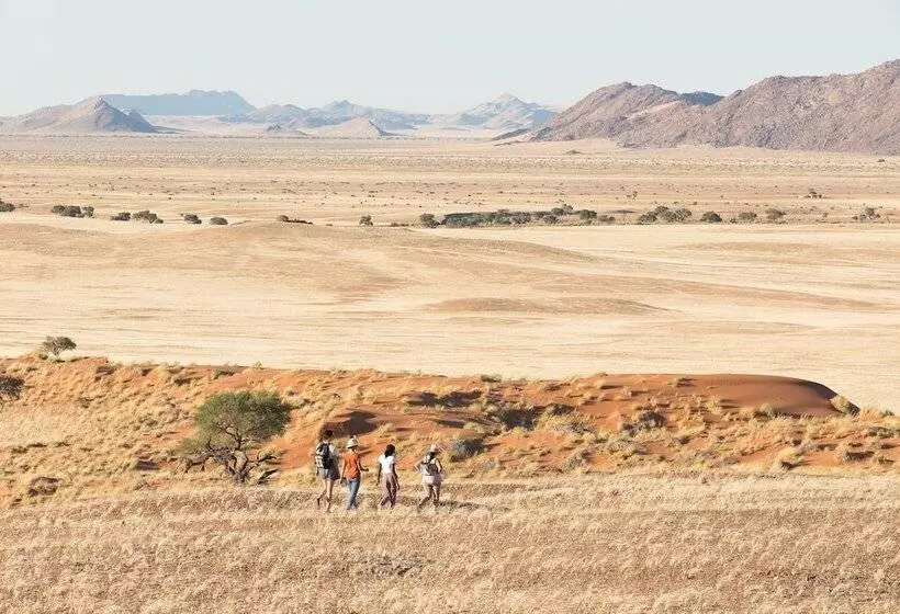 هتل The Desert Grace