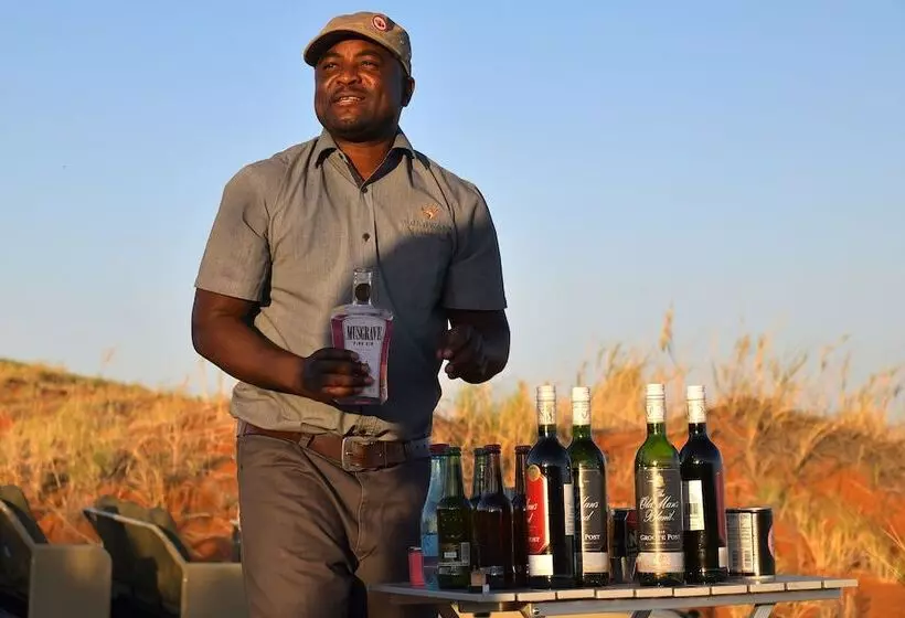 هتل The Desert Grace