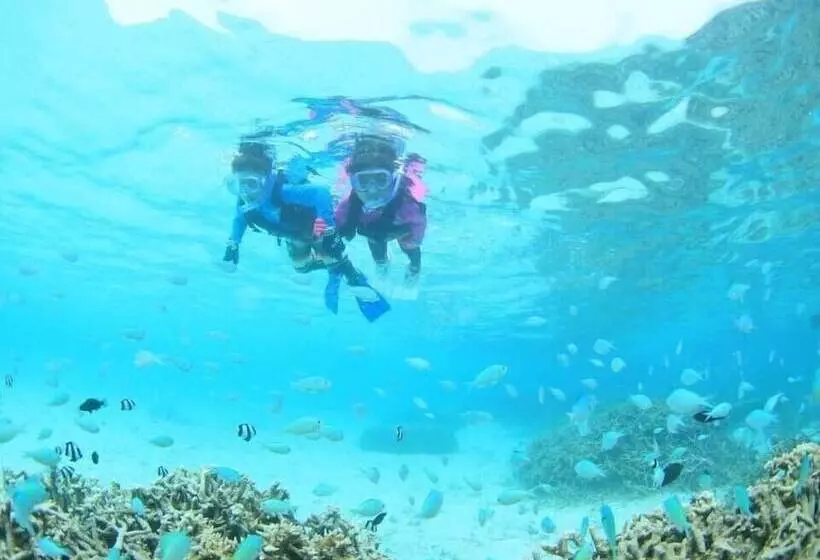 Majatalo Pine Shima Resort Coral Fish