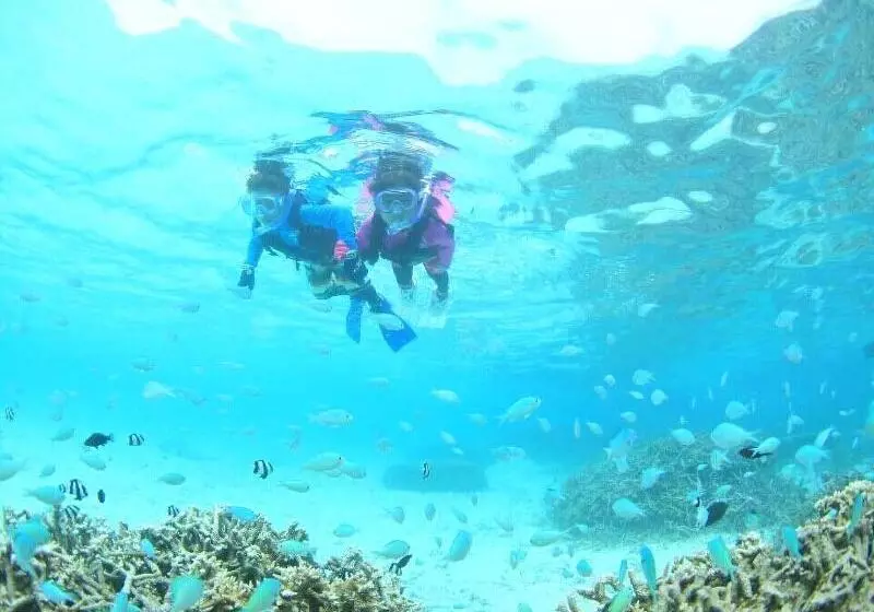 Majatalo Pine Shima Resort Coral Fish