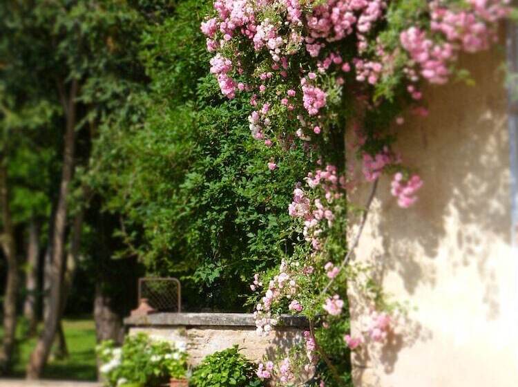 تختخواب و صبحانه La Maison Du Cremant