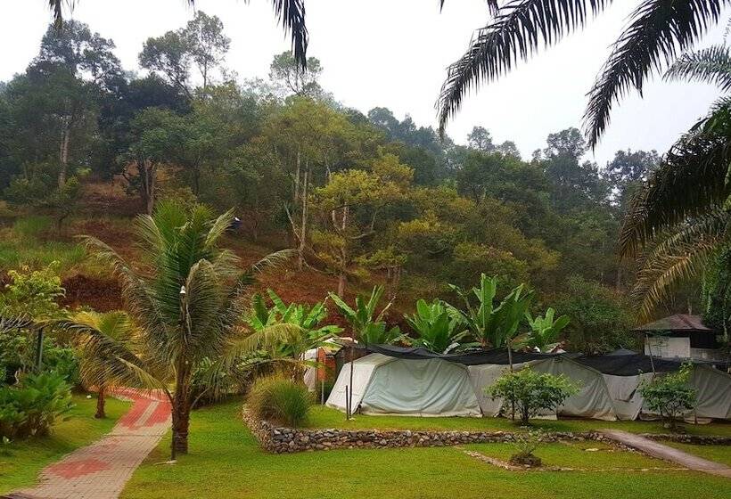 בית מלון כפרי Caravan Serai Exclusive Private Villas & Eco Resort