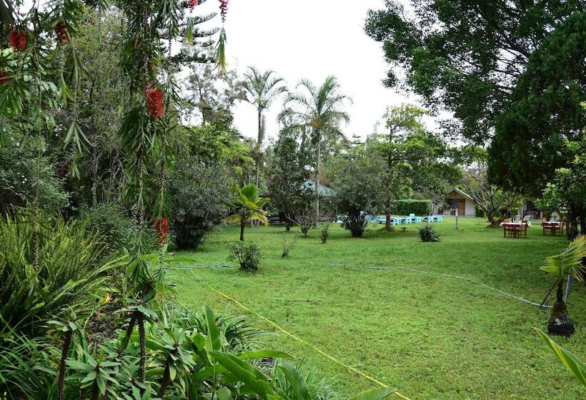 Отель Meru View Lodge