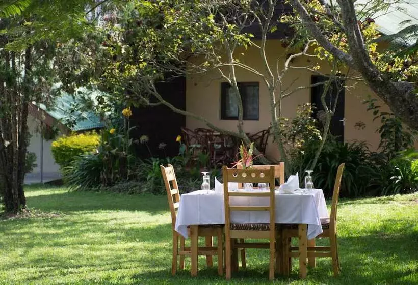 هتل Meru View Lodge