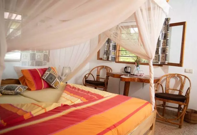 هتل Meru View Lodge