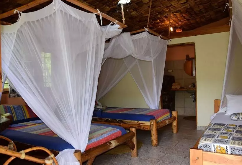 هتل Meru View Lodge