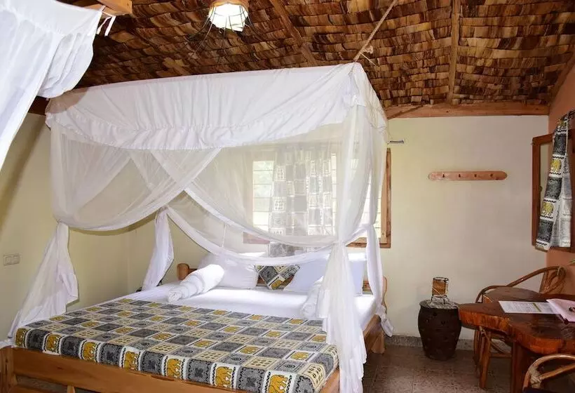 هتل Meru View Lodge