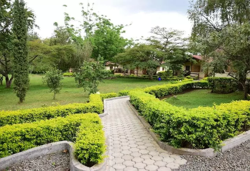 هتل Meru View Lodge