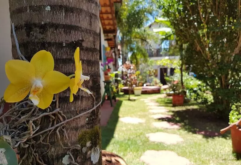 ホテル Pousada Quinta Dos Quintais