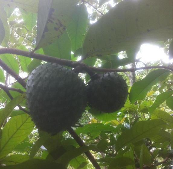 Hostel Casa Da Praia Piçarras