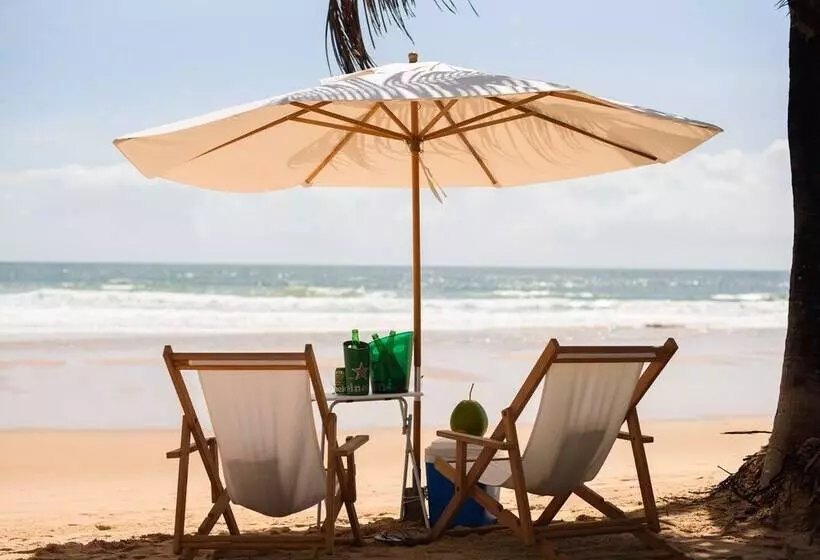 ホテル Pousada Bambu Dourado