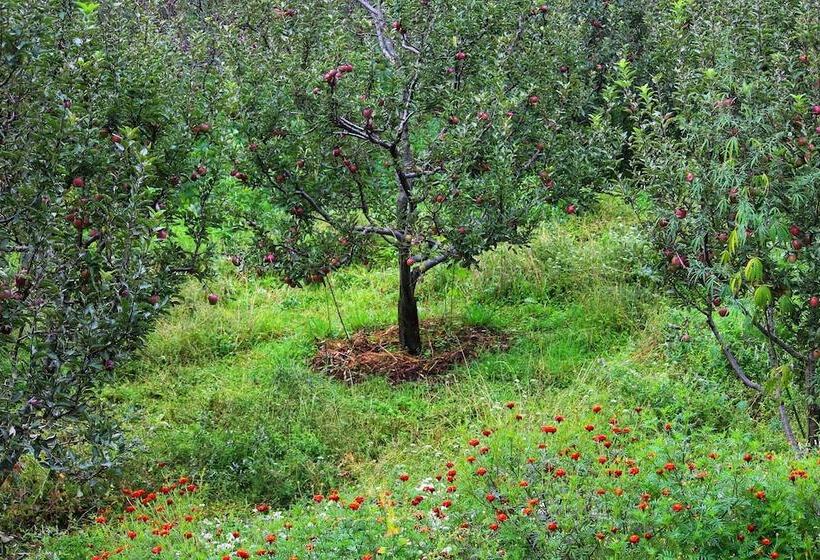 בית מלון כפרי Stonedage Tosh