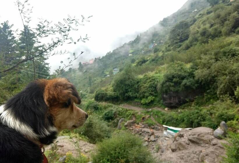 בית מלון כפרי Stonedage Tosh