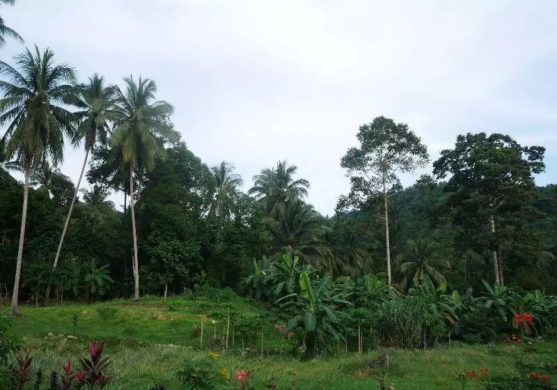 هتل Tara Resort Samui