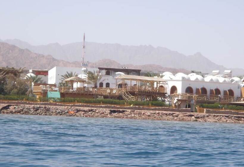 هتل Inmo Divers Home