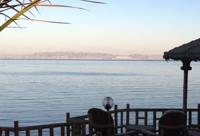 هتل Inmo Divers Home