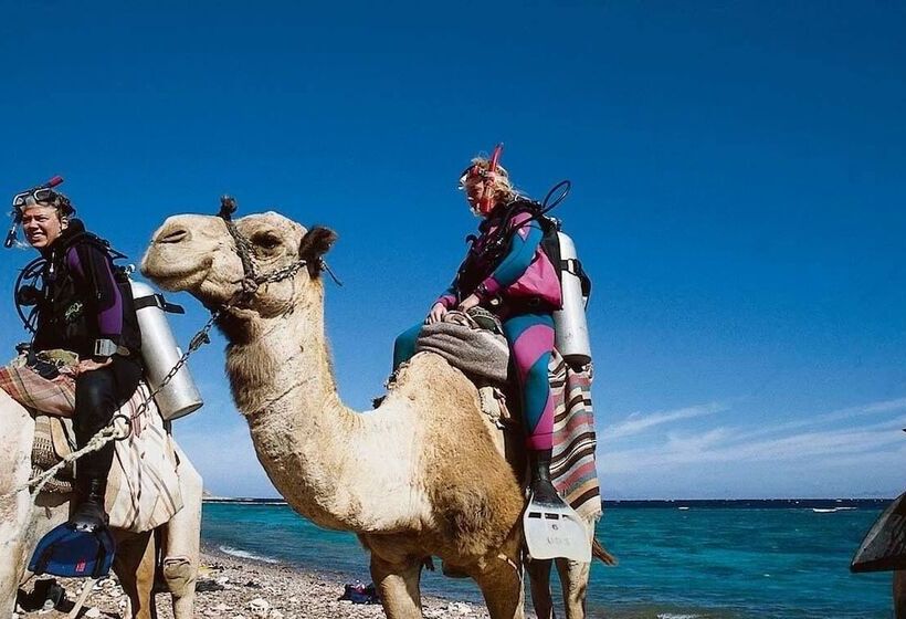 هتل Inmo Divers Home