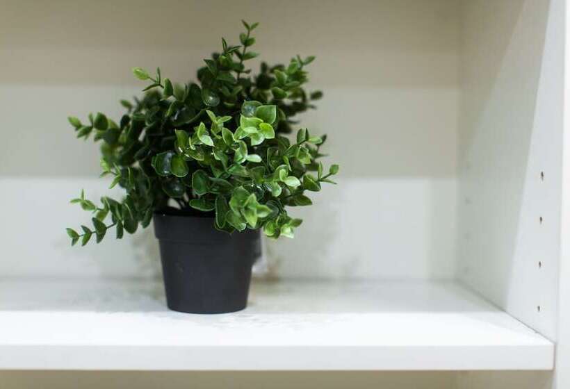 Apart Hotel Oruzheiniy Plaza