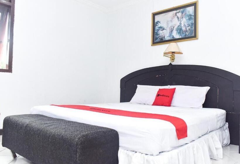 بنسيون Reddoorz Plus @ Tirta Kencana