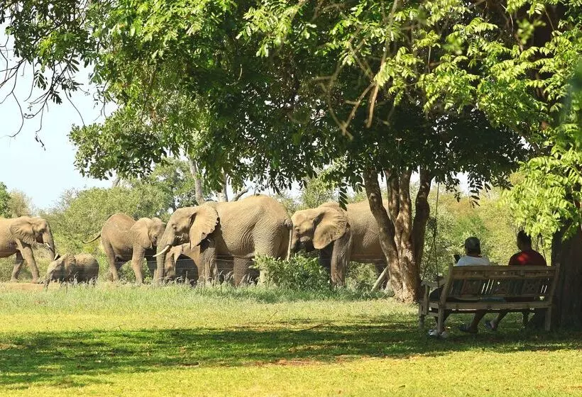 Hotelli Simbavati Camp George
