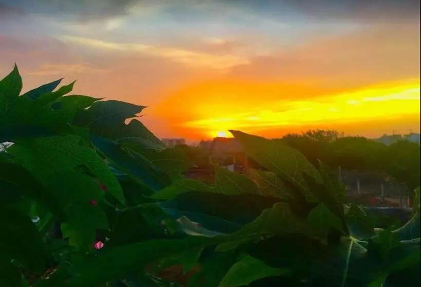 Aamiaismajoitus (B&B) Casa Mediterranea