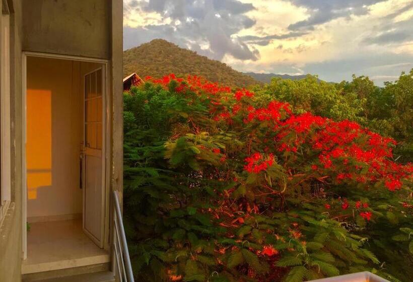 تختخواب و صبحانه Casa Mediterranea