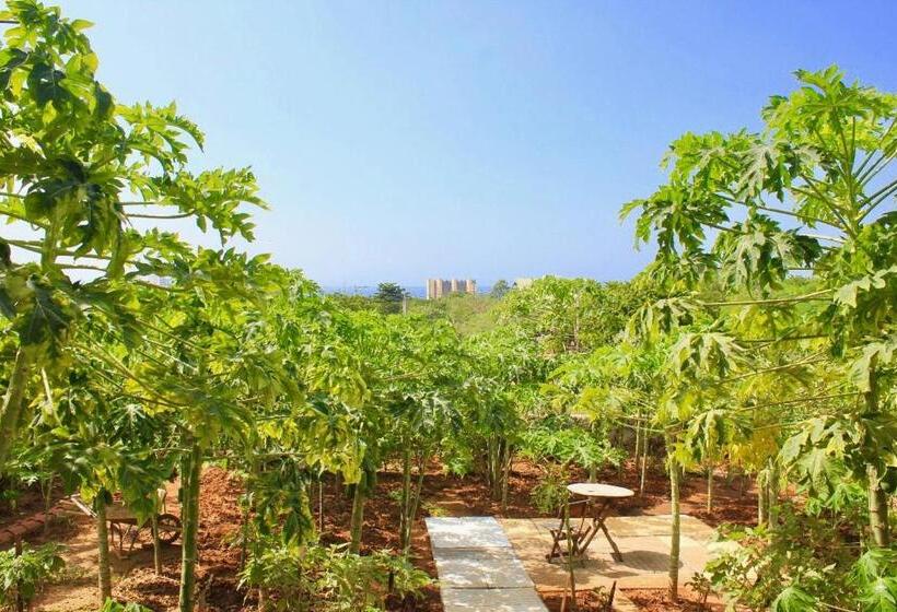 تختخواب و صبحانه Casa Mediterranea