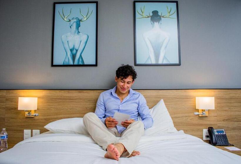 Hotel B S Suites Merida