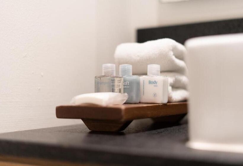 Hotel B S Suites Merida