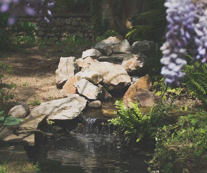 تختخواب و صبحانه Les Tilleuls Etretat