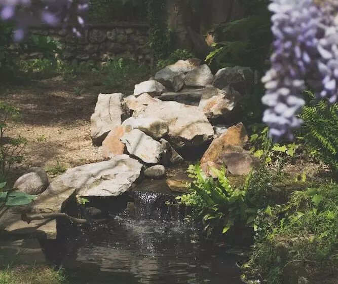 Aamiaismajoitus (B&B) Les Tilleuls Etretat