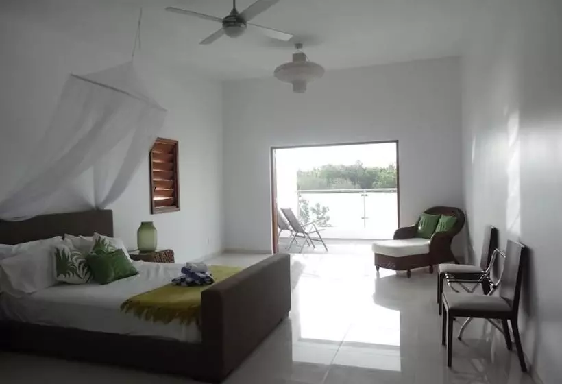 Paradise Point Escape