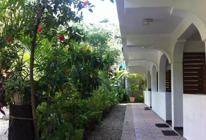 Pasi Lodge