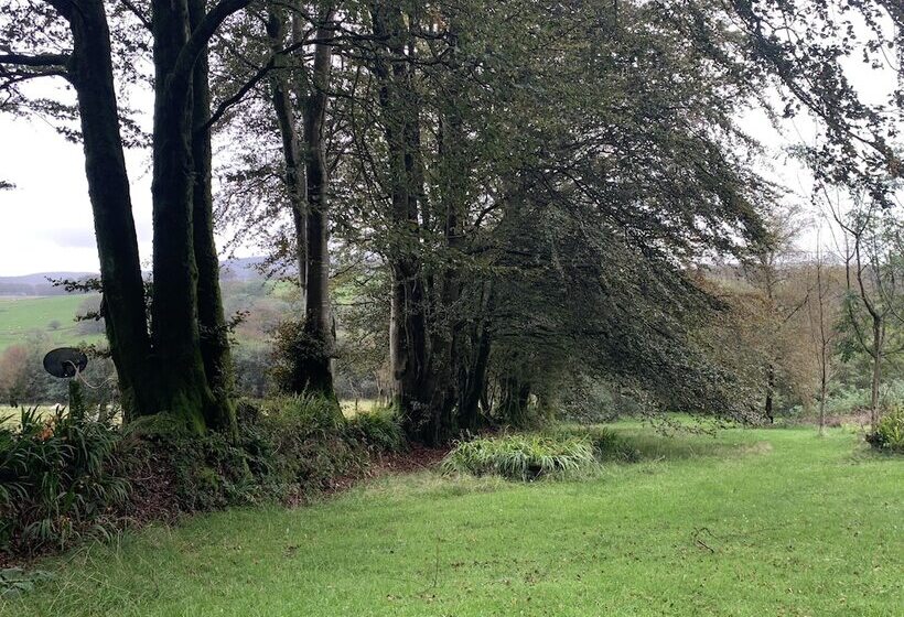 펜션 Ffos Y Ffin   Ascension In The Fields