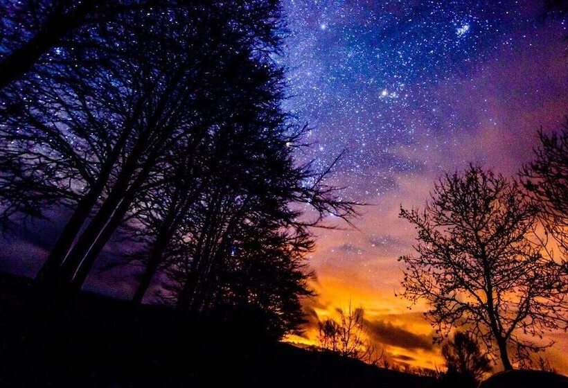 펜션 Ffos Y Ffin   Ascension In The Fields