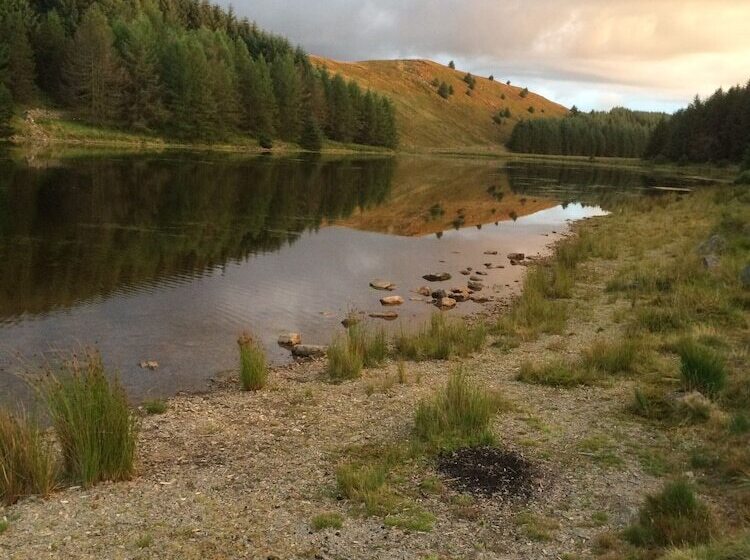 펜션 Ffos Y Ffin   Ascension In The Fields