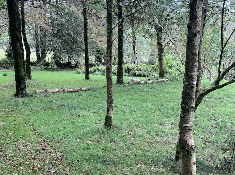 펜션 Ffos Y Ffin   Ascension In The Fields