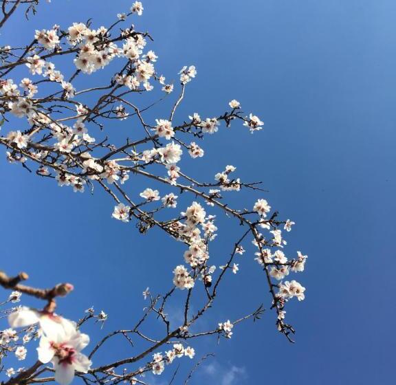 ベッドアンドブレックファースト Apartments Cortijo La Zapatera