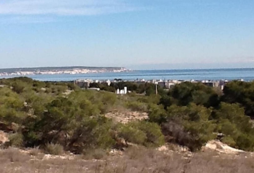 צימר Pete's Place