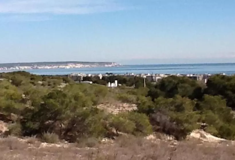 Aamiaismajoitus (B&B) Pete's Place