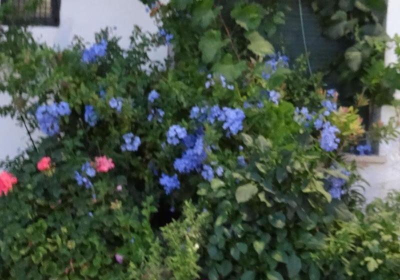 Casa Rural Francisca