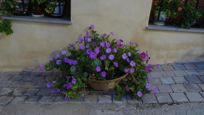 Casa Rural Francisca