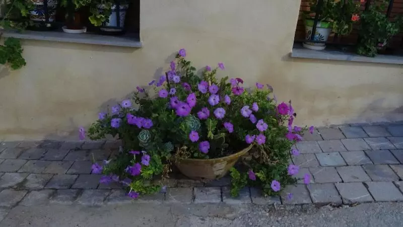 Casa Rural Francisca