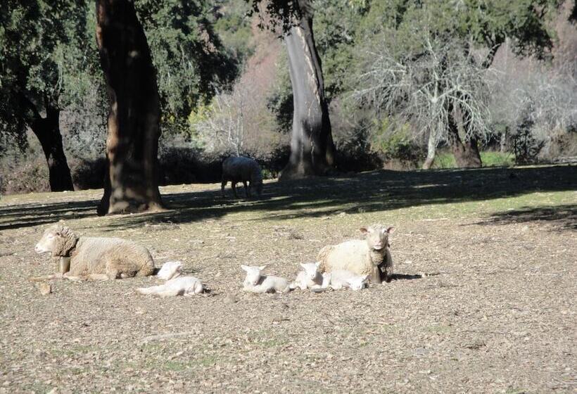 ホテル Casa Rural Sierra San Mamede